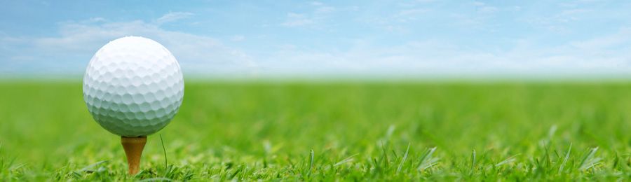 MSIG Golfer Insurance Instant Quote