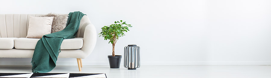 MSIG Home Insurance Instant Quote